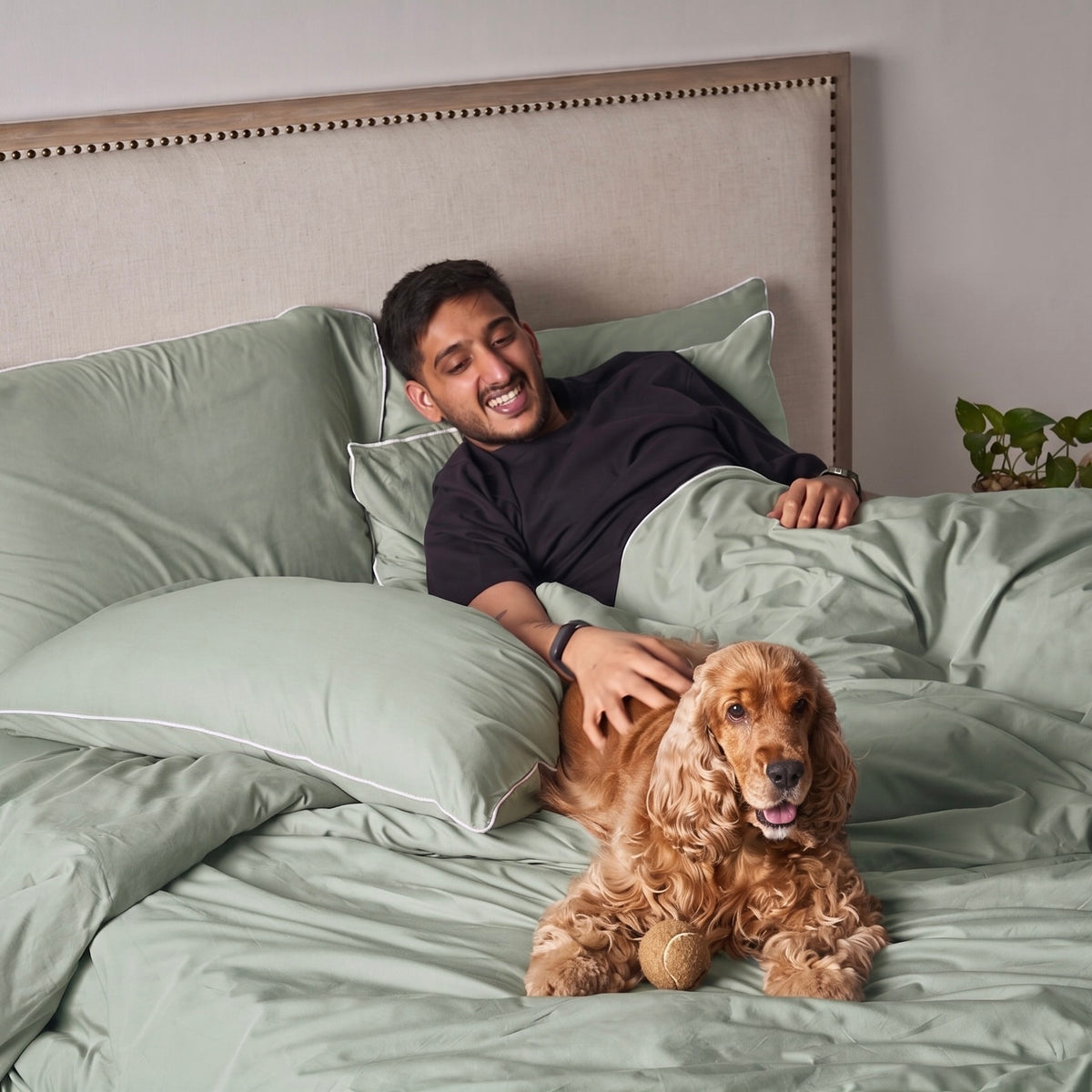 Piping Hotel Sheet Set | 300 Thread Count in Seafoam